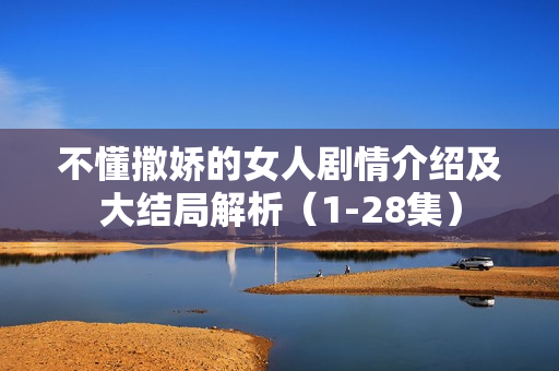 不懂撒娇的女人剧情介绍及大结局解析（1-28集）