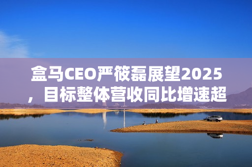 盒马CEO严筱磊展望2025，目标整体营收同比增速超40%