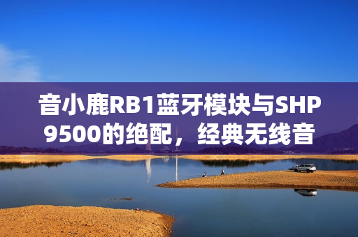 音小鹿RB1蓝牙模块与SHP9500的绝配，经典无线音响重塑之旅
