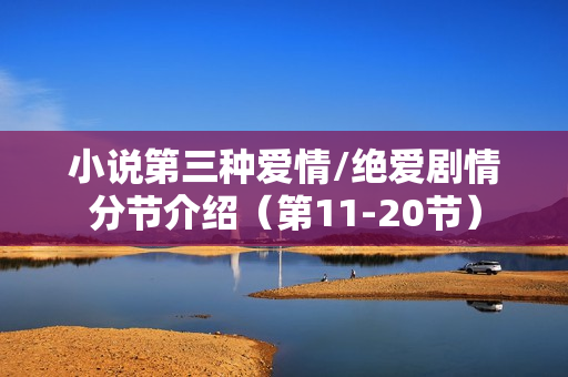 小说第三种爱情/绝爱剧情分节介绍（第11-20节）