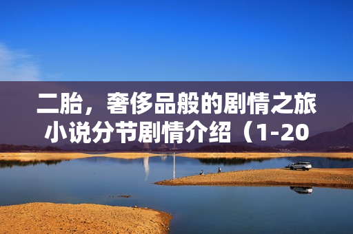 二胎，奢侈品般的剧情之旅小说分节剧情介绍（1-20节）