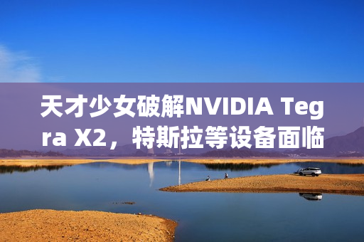 天才少女破解NVIDIA Tegra X2，特斯拉等设备面临无法修复的威胁