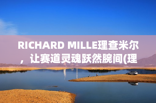 RICHARD MILLE理查米尔，让赛道灵魂跃然腕间(理查029)