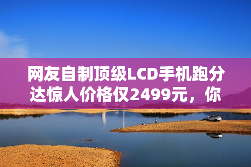 网友自制顶级LCD手机跑分达惊人价格仅2499元，你敢购买吗？