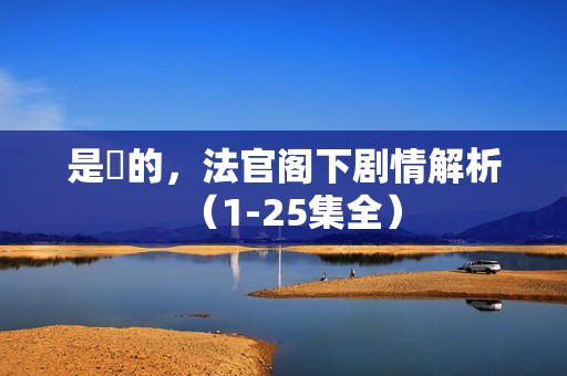 是咁的，法官阁下剧情解析（1-25集全）