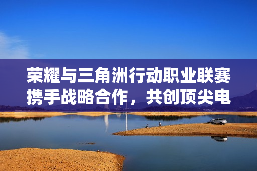 荣耀与三角洲行动职业联赛携手战略合作，共创顶尖电竞生态新纪元