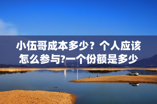 小伍哥成本多少？个人应该怎么参与?一个份额是多少?(网红小伍哥怎么火的)
