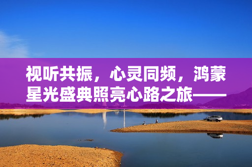 视听共振，心灵同频，鸿蒙星光盛典照亮心路之旅——在一起的星光璀璨之夜