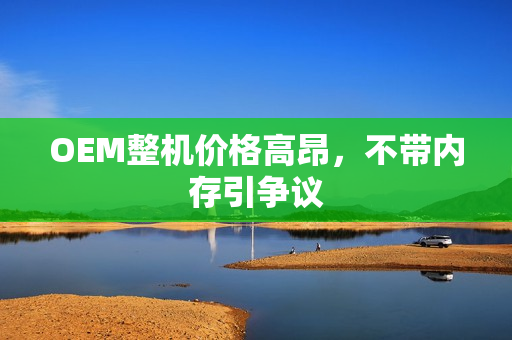 OEM整机价格高昂，不带内存引争议