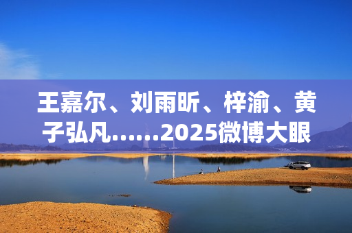 王嘉尔、刘雨昕、梓渝、黄子弘凡……2025微博大眼音乐节火热售票中！ (刘雨昕新歌王嘉尔)