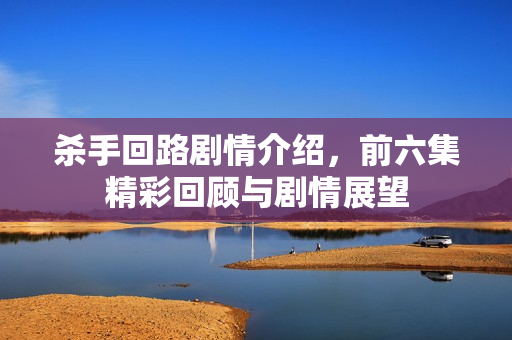 杀手回路剧情介绍，前六集精彩回顾与剧情展望