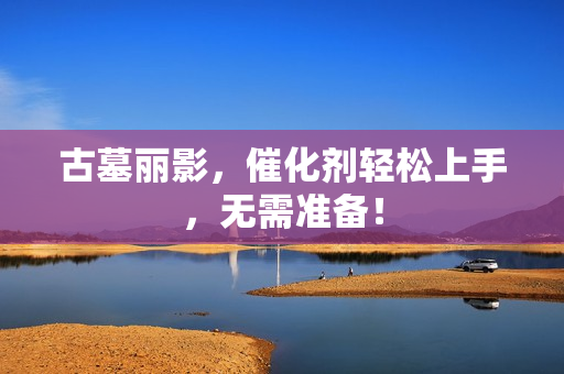 古墓丽影，催化剂轻松上手，无需准备！