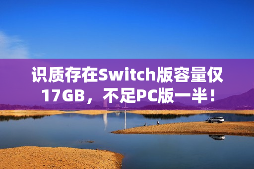 识质存在Switch版容量仅17GB，不足PC版一半！