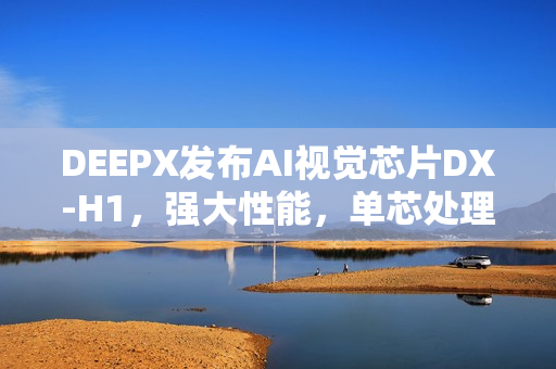 DEEPX发布AI视觉芯片DX-H1，强大性能，单芯处理数百路视频流