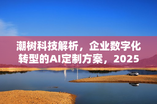 潮树科技解析,企业数字化转型的AI定制方案,2025年必备之选 潮树科技解析,企业数字化转型的AI定制方案,2025年必备之选