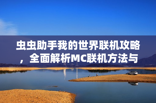 虫虫助手我的世界联机攻略，全面解析MC联机方法与步骤