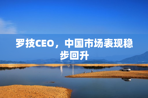罗技CEO,中国市场表现稳步回升 罗技CEO,中国市场表现稳步回升