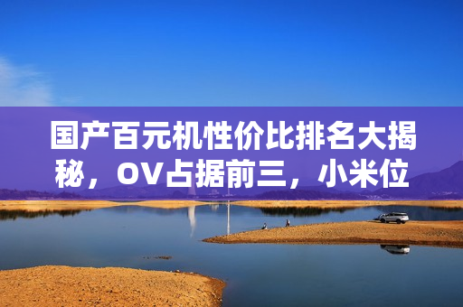 国产百元机性价比排名大揭秘，OV占据前三，小米位列第五