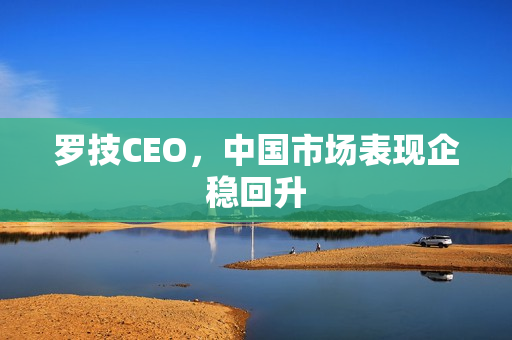 罗技CEO，中国市场表现企稳回升