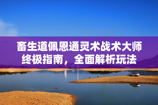 畜生道佩恩通灵术战术大师终极指南,全面解析玩法 畜生道佩恩通灵术战术大师终极指南,全面解析玩法