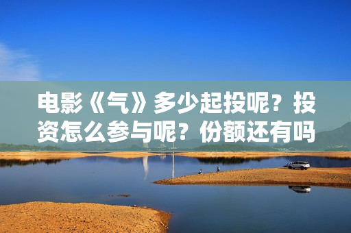 电影《气》多少起投呢？投资怎么参与呢？份额还有吗？