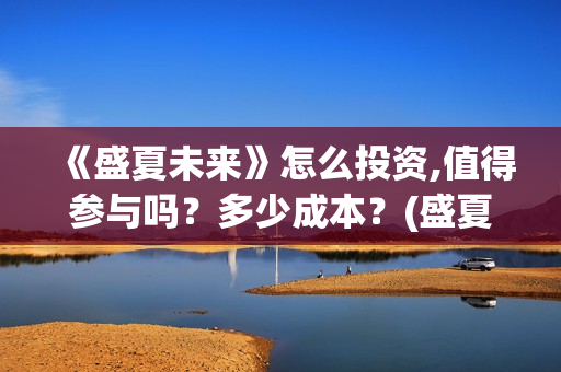 《盛夏未来》怎么投资,值得参与吗?多少成本?(盛夏未来ts) 《盛夏未来》怎么投资,值得参与吗?多少成本?(盛夏未来ts)