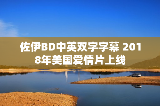 佐伊BD中英双字字幕 2018年美国爱情片上线
