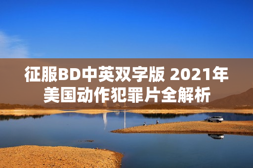 征服BD中英双字版 2021年美国动作犯罪片全解析 征服BD中英双字版 2021年美国动作犯罪片全解析