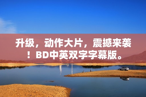 升级，动作大片，震撼来袭！BD中英双字字幕版。