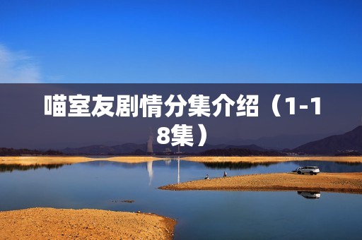 喵室友剧情分集介绍（1-18集）