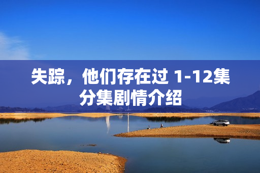 失踪，他们存在过 1-12集分集剧情介绍