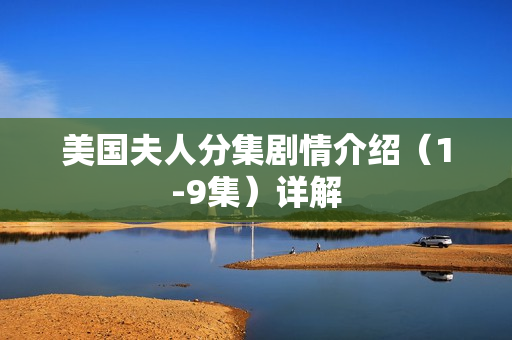 美国夫人分集剧情介绍（1-9集）详解