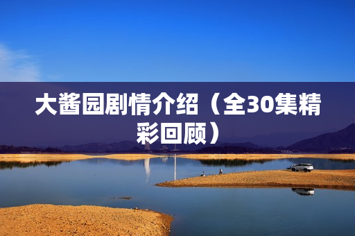 大酱园剧情介绍(全30集精彩回顾) 大酱园剧情介绍(全30集精彩回顾)
