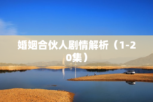 婚姻合伙人剧情解析（1-20集）