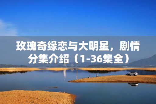 玫瑰奇缘恋与大明星，剧情分集介绍（1-36集全）