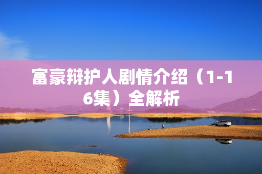 富豪辩护人剧情介绍（1-16集）全解析