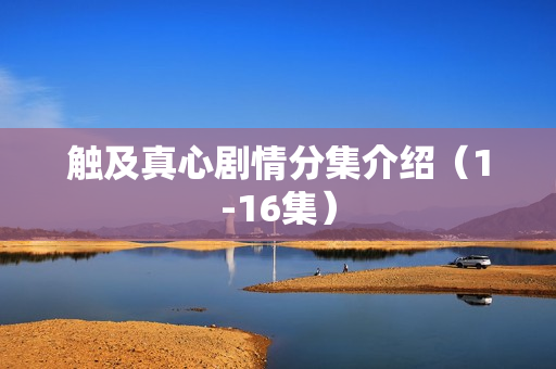 触及真心剧情分集介绍（1-16集）