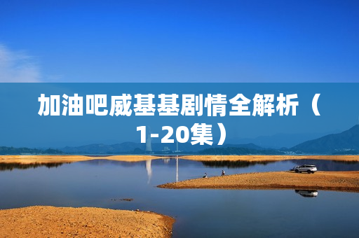 加油吧威基基剧情全解析（1-20集）