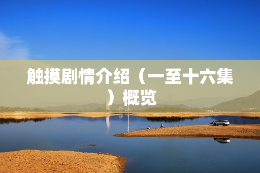 触摸剧情介绍(一至十六集)概览 触摸剧情介绍(一至十六集)概览