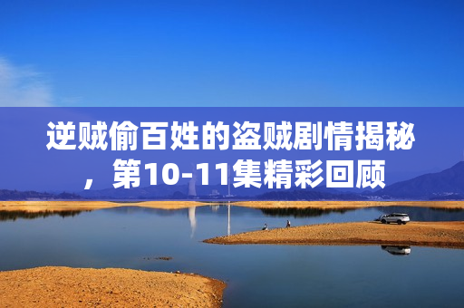 逆贼偷百姓的盗贼剧情揭秘，第10-11集精彩回顾