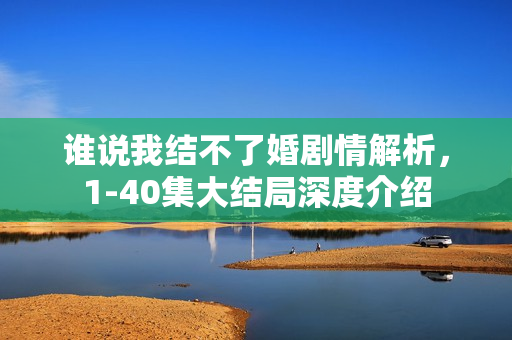 谁说我结不了婚剧情解析，1-40集大结局深度介绍
