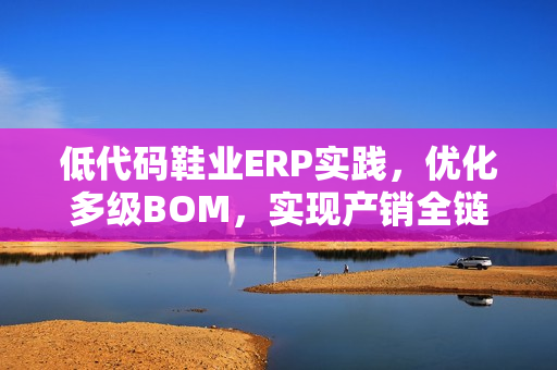 低代码鞋业ERP实践，优化多级BOM，实现产销全链路打通，开发周期大幅缩短70%