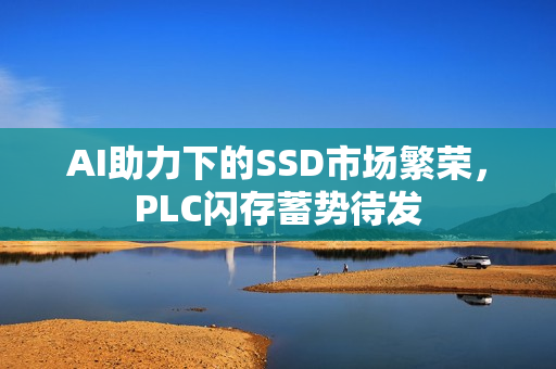 AI助力下的SSD市场繁荣，PLC闪存蓄势待发