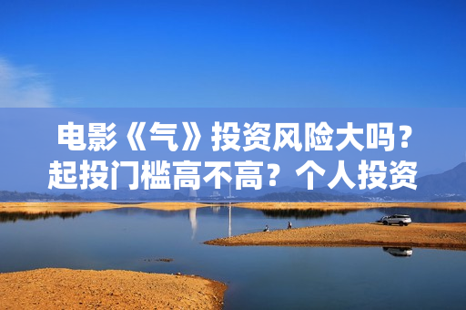 电影《气》投资风险大吗？起投门槛高不高？个人投资赚钱啊？