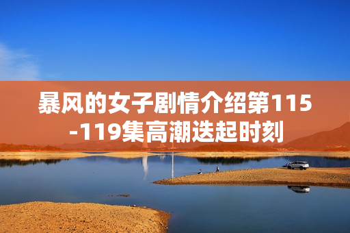 暴风的女子剧情介绍第115-119集高潮迭起时刻