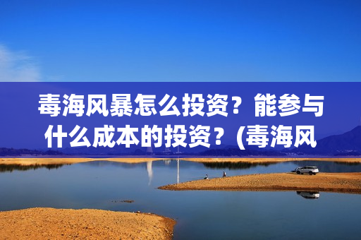 毒海风暴怎么投资？能参与什么成本的投资？(毒海风暴有哪几家拍摄)