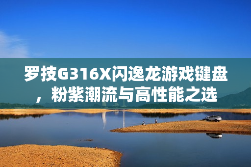 罗技G316X闪逸龙游戏键盘，粉紫潮流与高性能之选