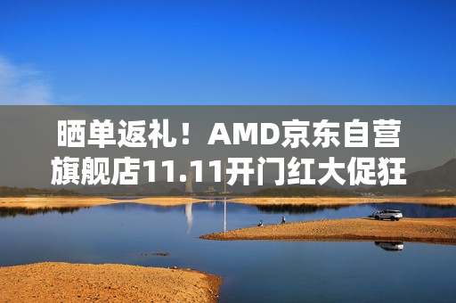 晒单返礼！AMD京东自营旗舰店11.11开门红大促狂欢夜开启
