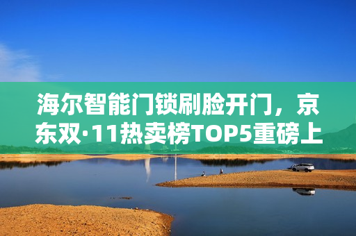 海尔智能门锁刷脸开门，京东双·11热卖榜TOP5重磅上榜