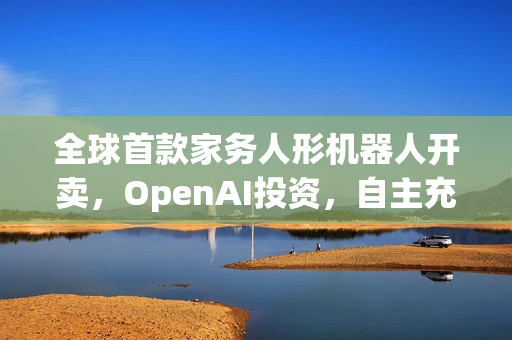 全球首款家务人形机器人开卖,OpenAI投资,自主充电萌脸翘臀机器人售价14万元 全球首款家务人形机器人开卖,OpenAI投资,自主充电萌脸翘臀机器人售价14万元